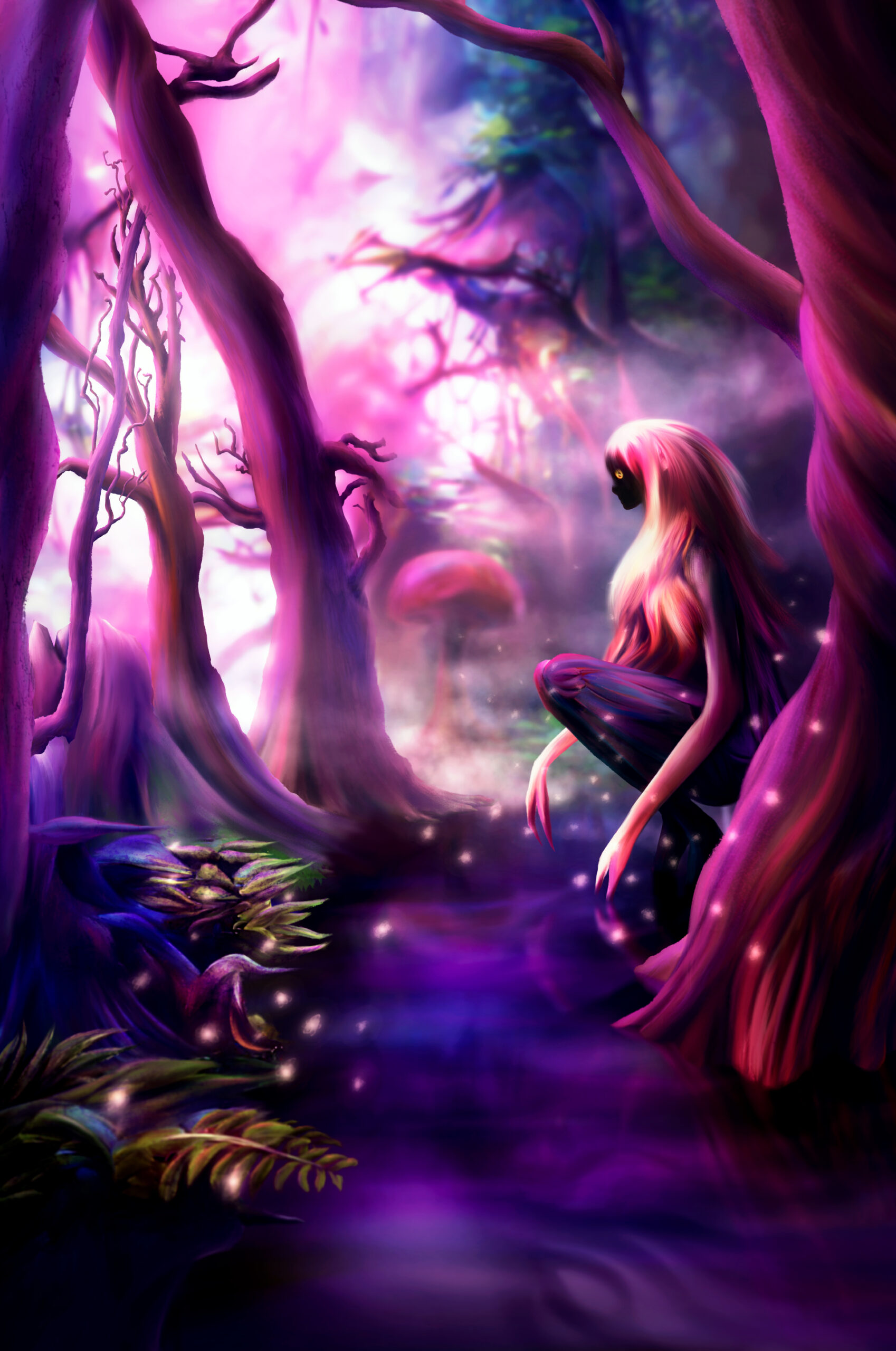 Illustrations