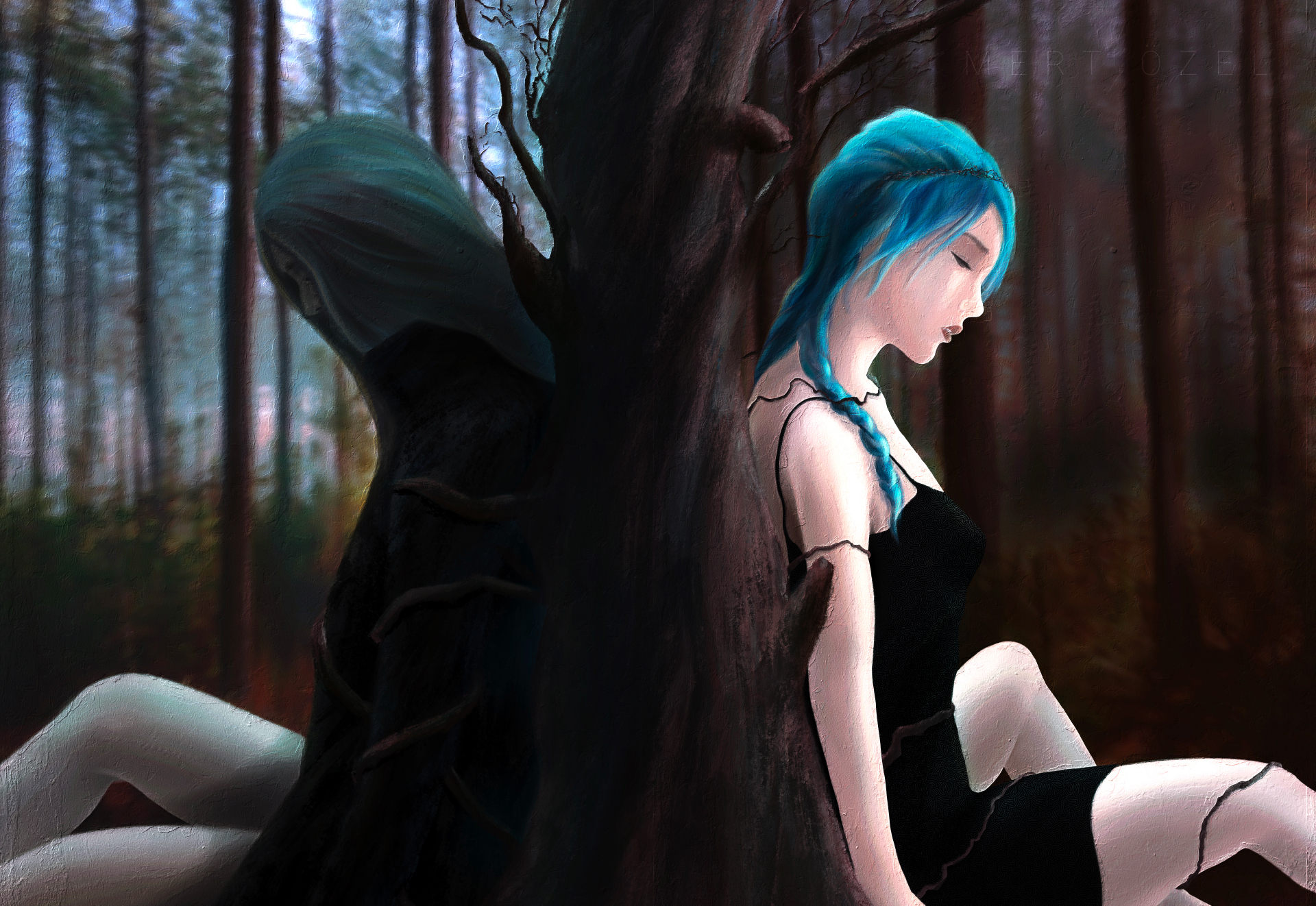 Illustrations