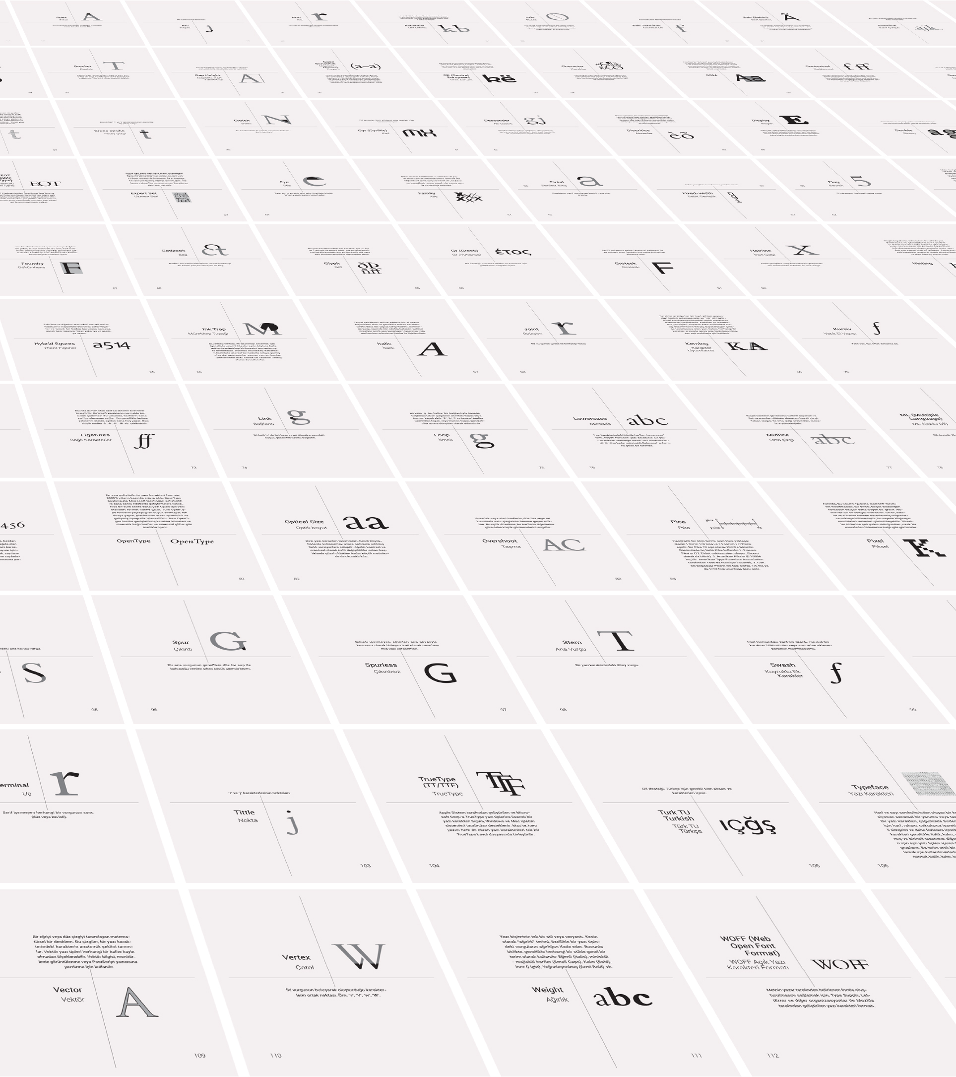 Typographic Terminology - the terms laid out